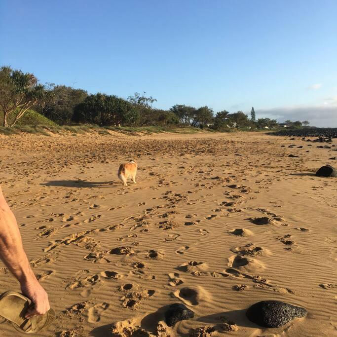 Puppies&Pancakes At Innes Park Opp Park&Beach Dogs Welcome Inside Pemberton Exterior photo