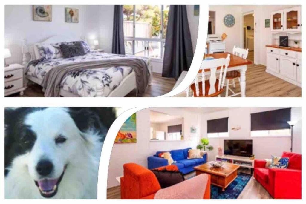 Puppies&Pancakes At Innes Park Opp Park&Beach Dogs Welcome Inside Pemberton Exterior photo